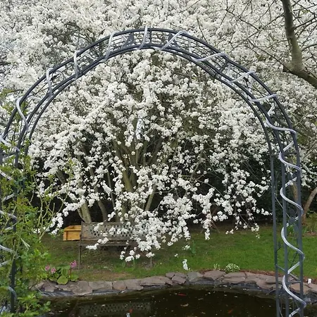 Harzer Auszeit Apartament Hattorf am Harz