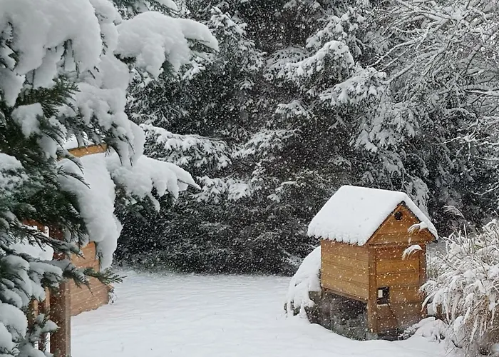 Harzer Auszeit * Hattorf am Harz