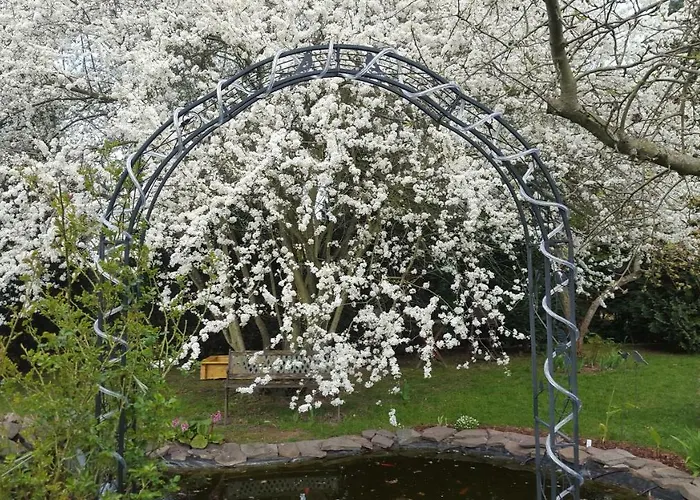 Harzer Auszeit Appartamento Hattorf am Harz